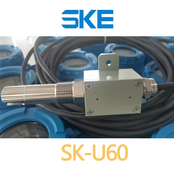 Intrusive Ultrasonic Level Switch Sensor