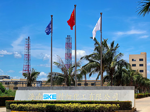 SKE's Ultrasonic Non-intrusive Level Gauge Deployed in Hainan Biotech Company
